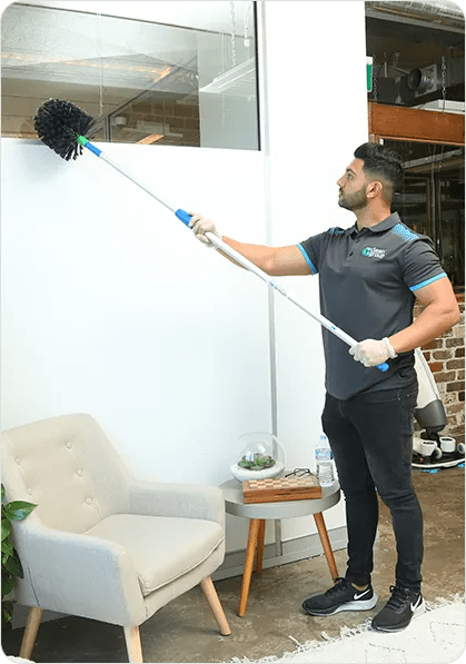 Reception and Common Area Cleaning